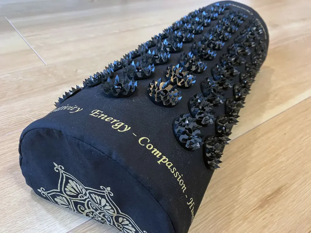 シャクティの枕